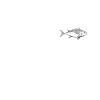 Seafood Lover Gift