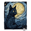 Starry Night and Black Cat