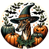 Halloween Brindle