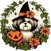 Halloween Shih Tzu