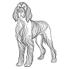 Line Art Italian Spinone Italiano