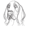 Line Art Italian Spinone Italiano