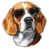 Beagle, Dog, Sunglasses, Summer