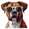German Boxer, Dog, Sunglasses, Summer