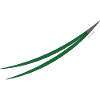 needle