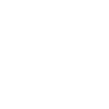 Nordic Walking Man Icon