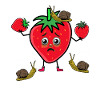 Strawberry Snails Pest Strawberries Snails