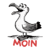 Moin Möwe