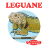 Iguana Reptile Lizard Iguanas Gift