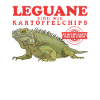 Iguana Lizard Reptile Iguanas Gift