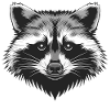 Waschbär