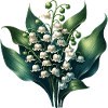 Lily of the valley