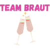 TEAM BRAUT