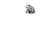 Toad Kröten Kröte