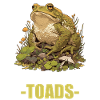 Toad Kröten Kröte