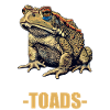 Toad Toads Toad