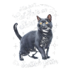 Katze Scottish Fold Geschenk