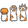 Katze Kätzchen Pfote
