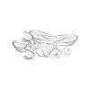 Seafood Lover Gift