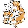 Katzen Katzenliebhaber