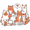 Katzen Katzenliebhaber