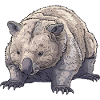 Wombat