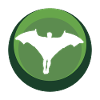 Wingsuit Flying Base Jumping