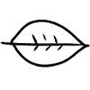 Leaf Symbol Shape Nature