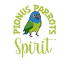 Favourite animal - Red-rumped parrot