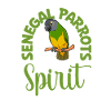 Favourite animal - Senegal parrot