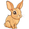 Cute Bunny Bunny Hoppelhase