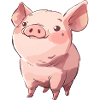 Sanglier cochon