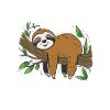 Funny sloth, no desire