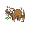 Funny sloth, no desire
