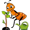 Funny ant gardener