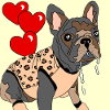Drooling Frenchie