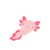 Axolotl