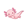 Axolotl