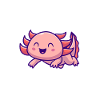 Axolotl