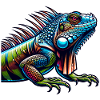 Iguana