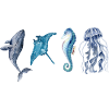 The animals of the ocean
