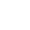 >_ OS program prompt