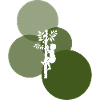 Climbing Monkey Equipment