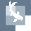 Koi Pond Fish