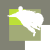 Wingsuit Glider Suit