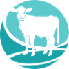 Vegan Animal Rights Animal Welfare