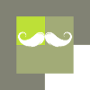 Mustache Facial Hair Bears