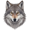 Wolf Head