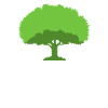 Family tree genealogy