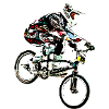 BMX Race